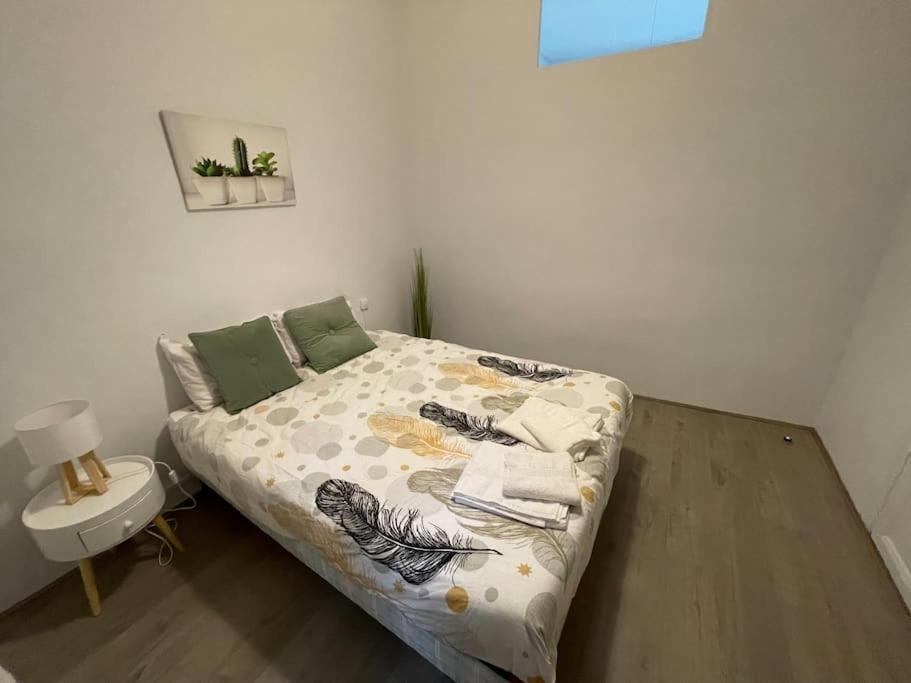 Cosy T3 Proche Gare Et Polygone Apartment Beziers Luaran gambar
