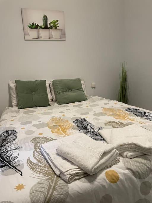 Cosy T3 Proche Gare Et Polygone Apartment Beziers Luaran gambar