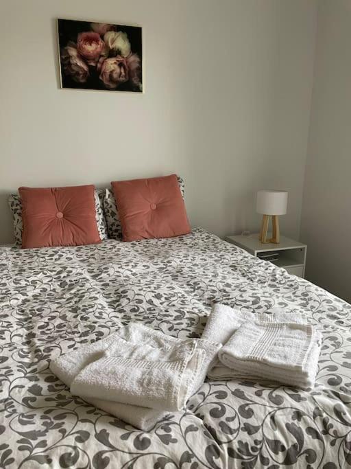 Cosy T3 Proche Gare Et Polygone Apartment Beziers Luaran gambar